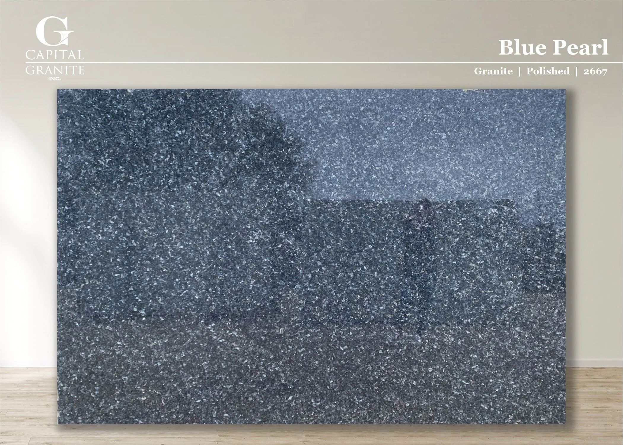 Blue Pearl_2667.jpg