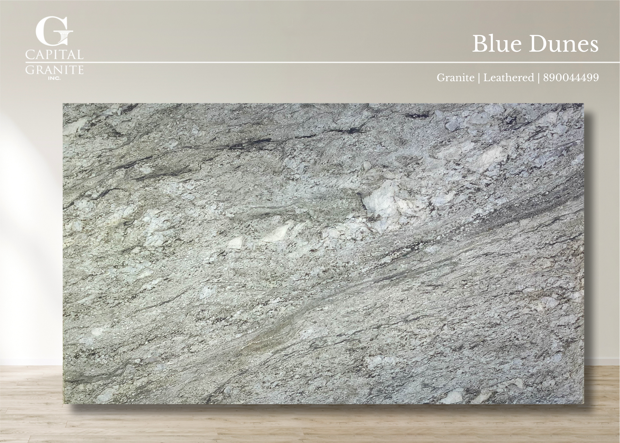 Blue Dunes_890044499.jpg.png