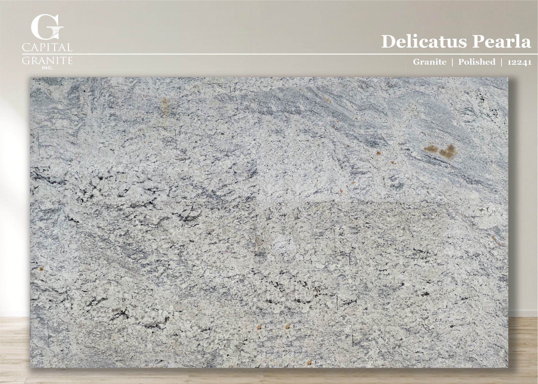 Delicatus Pearla_12241.jpg