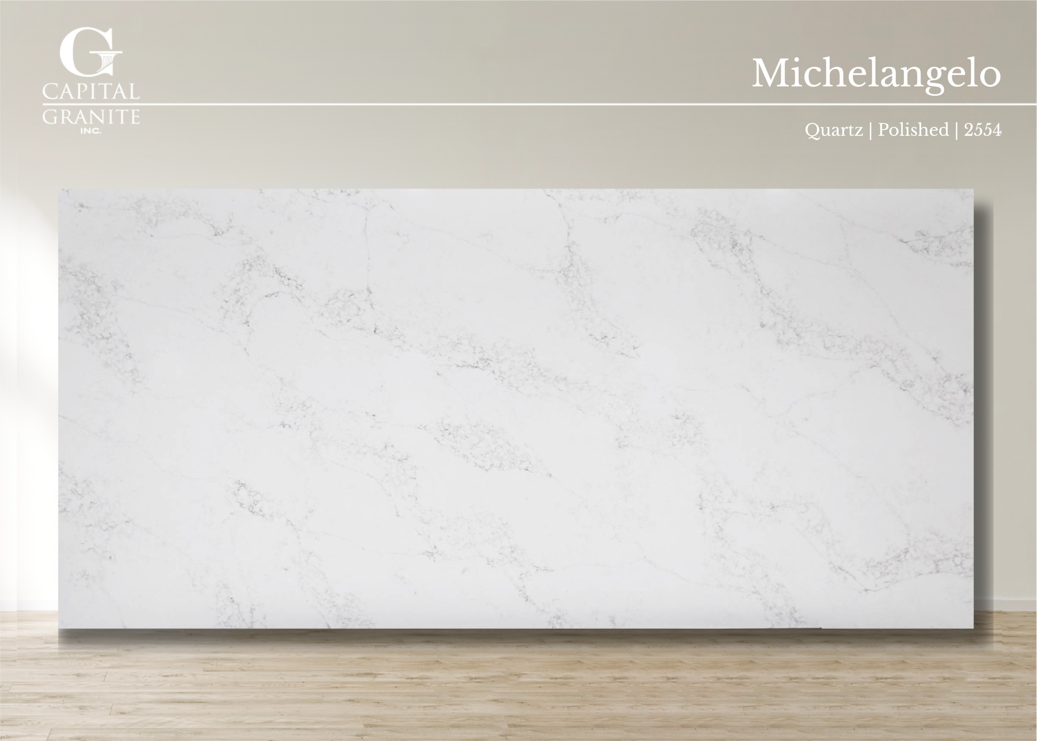 Michelangelo_2554 .png