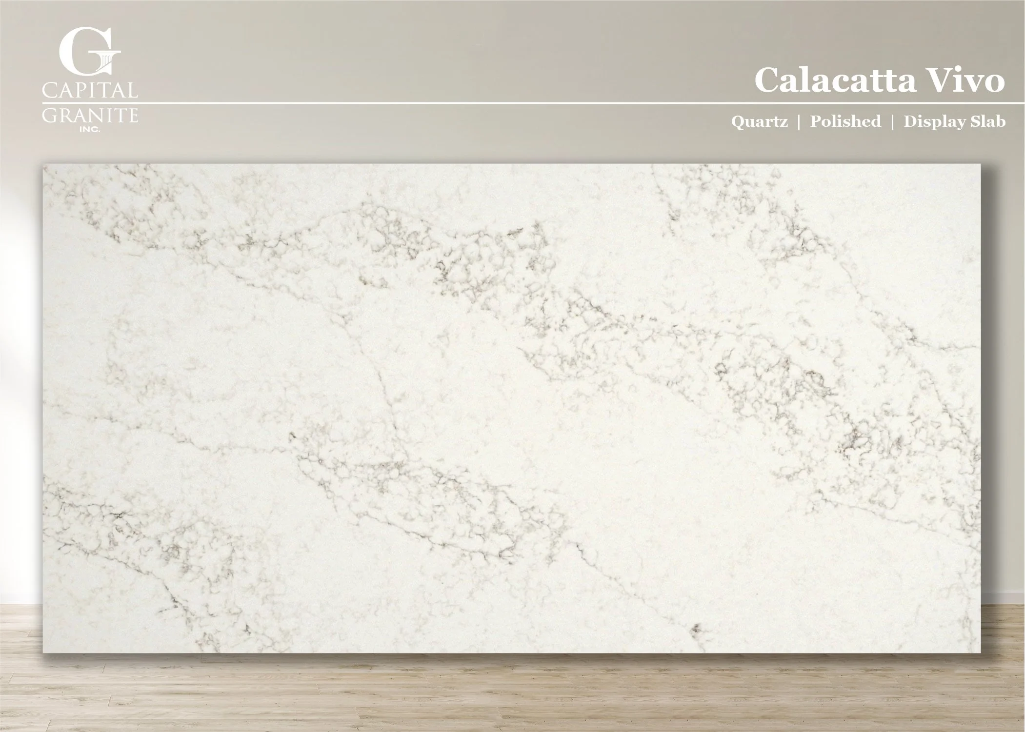 Calacatta Vivo by Envi_Display Slab.jpg