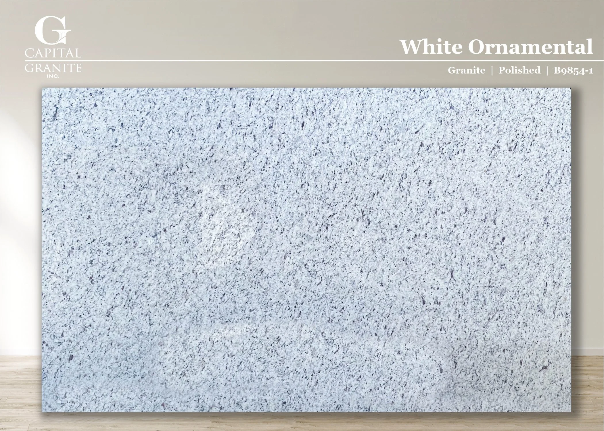 White Ornamental_B9854-1.jpg