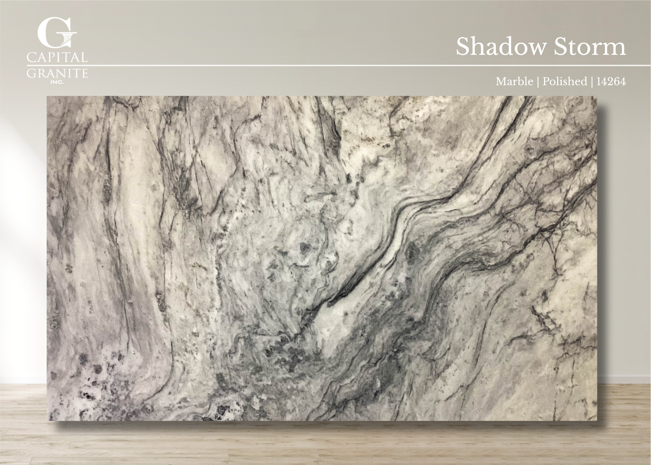 Shadow Storm_14264.png