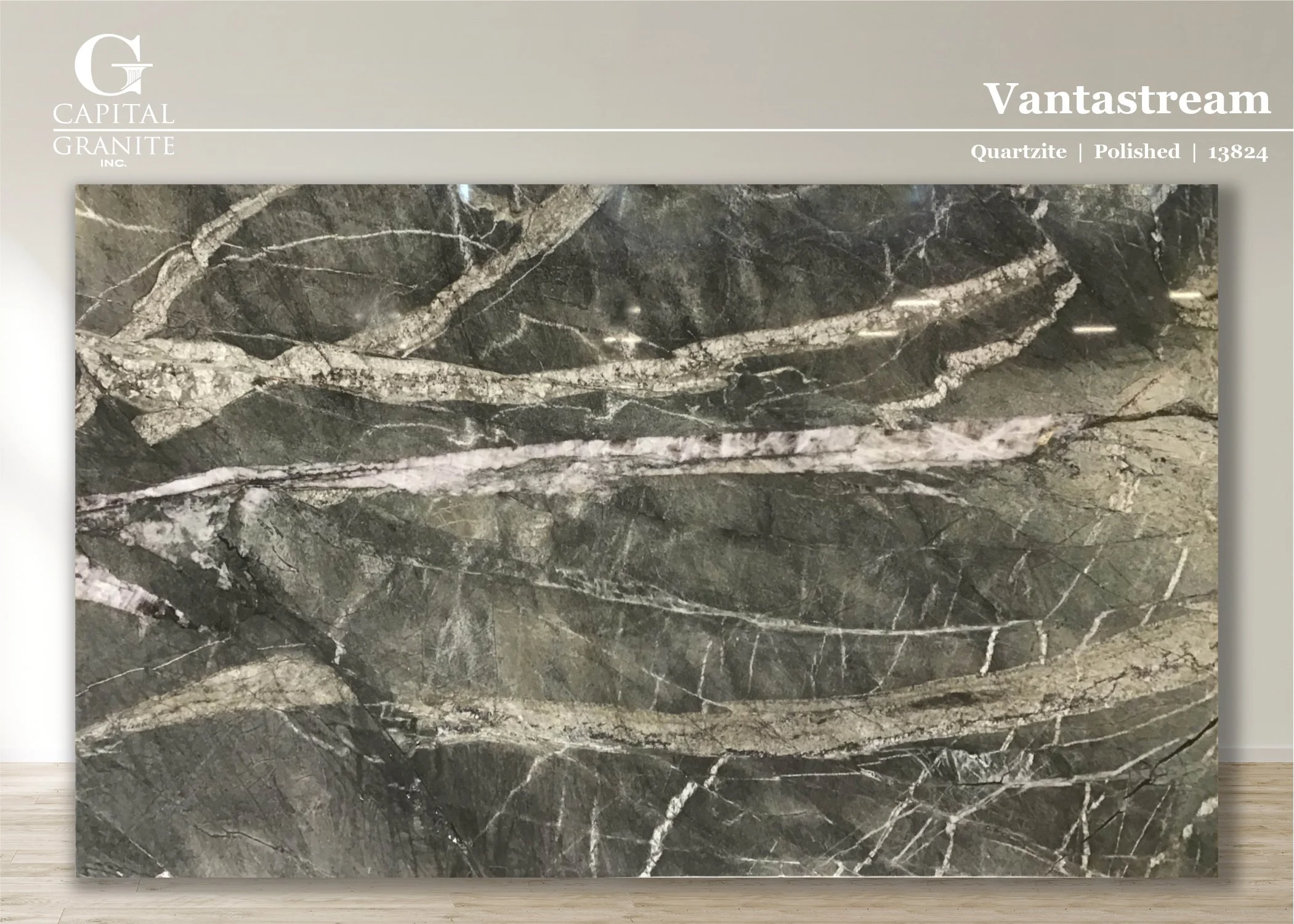 Vantastream_13824.jpg