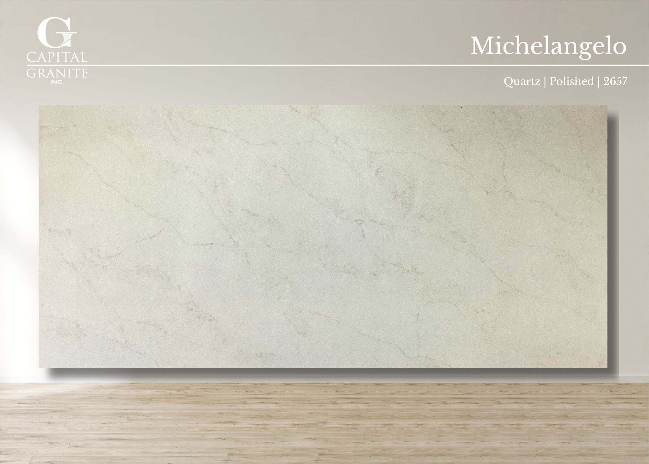 Michelangelo_2657.png