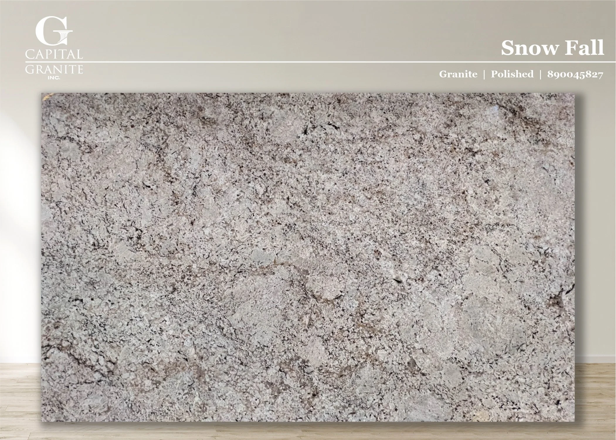 Snow Fall_890045827.jpg