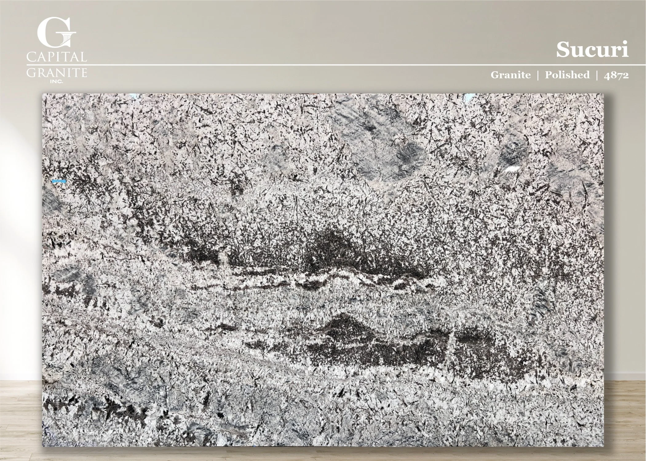Sucuri_4872.jpg