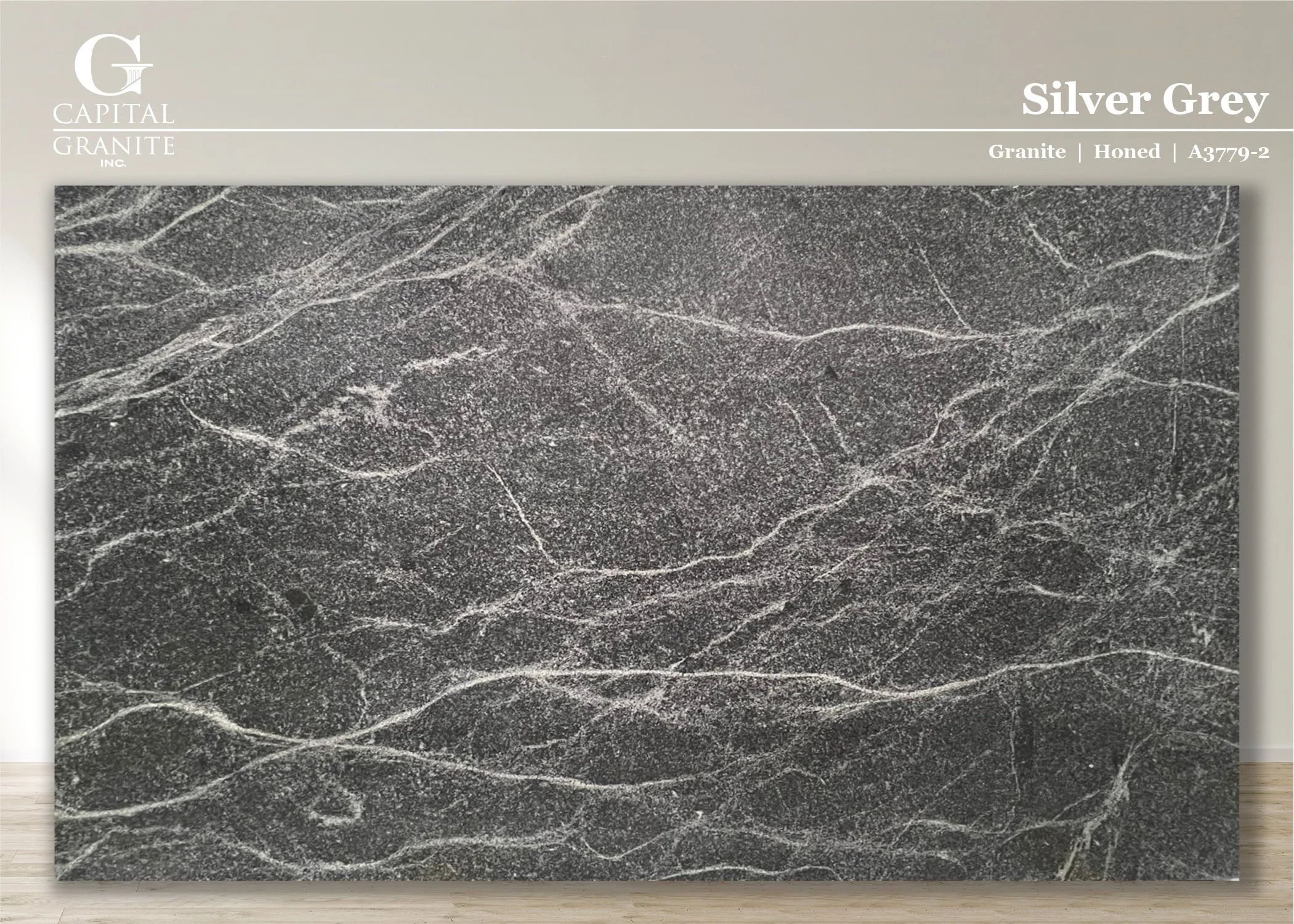 Silver Grey_A3779-2.jpg