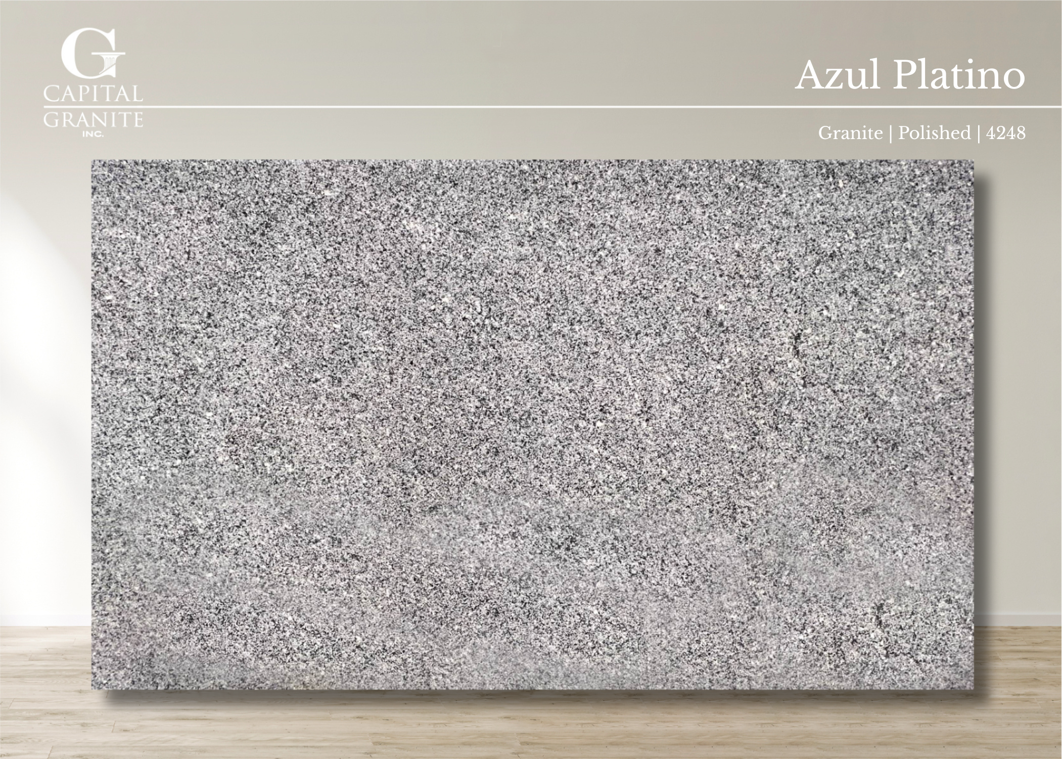 Azul Platino_4248.png