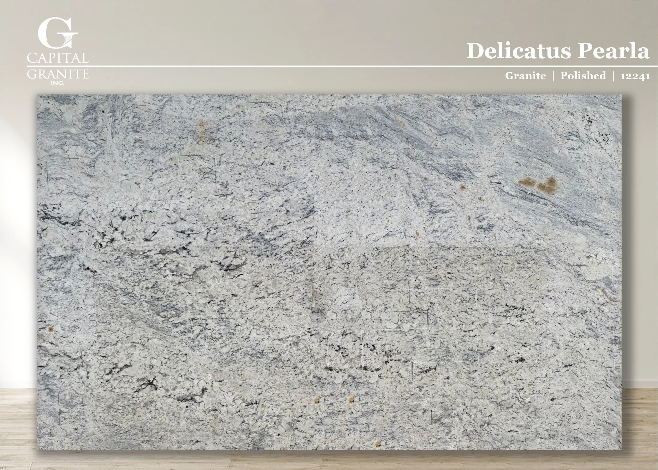 Delicatus Pearla_12241.jpg