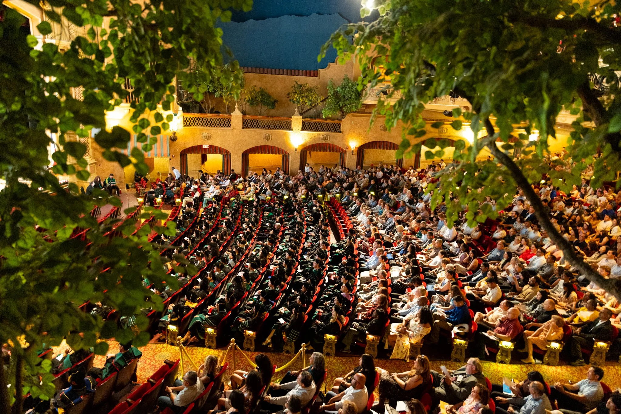 260516_TT_FSoM_Commencement_PRESS_IPA 19.JPG