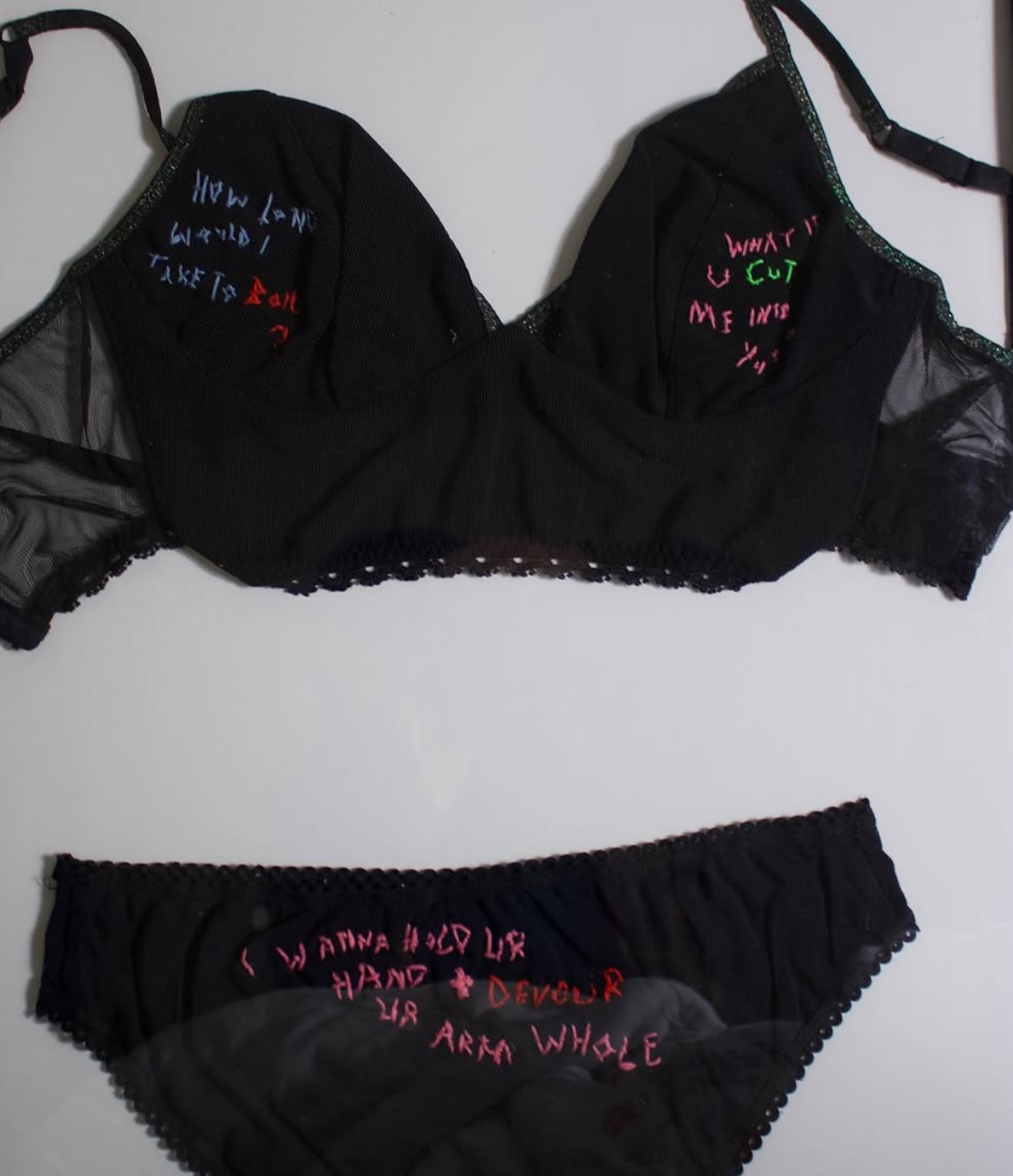 Lingerie Thoughts (2021)
embroidery on underwear
