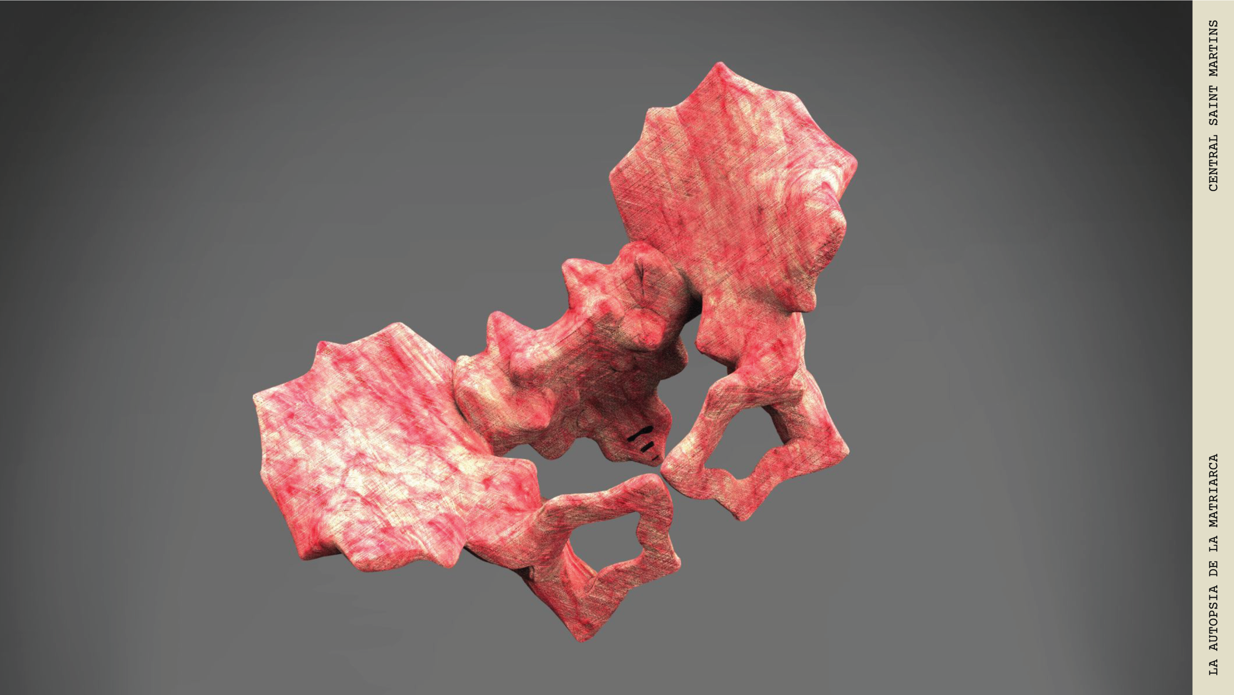 A sculpture of a pelvic bone, made with died red linen