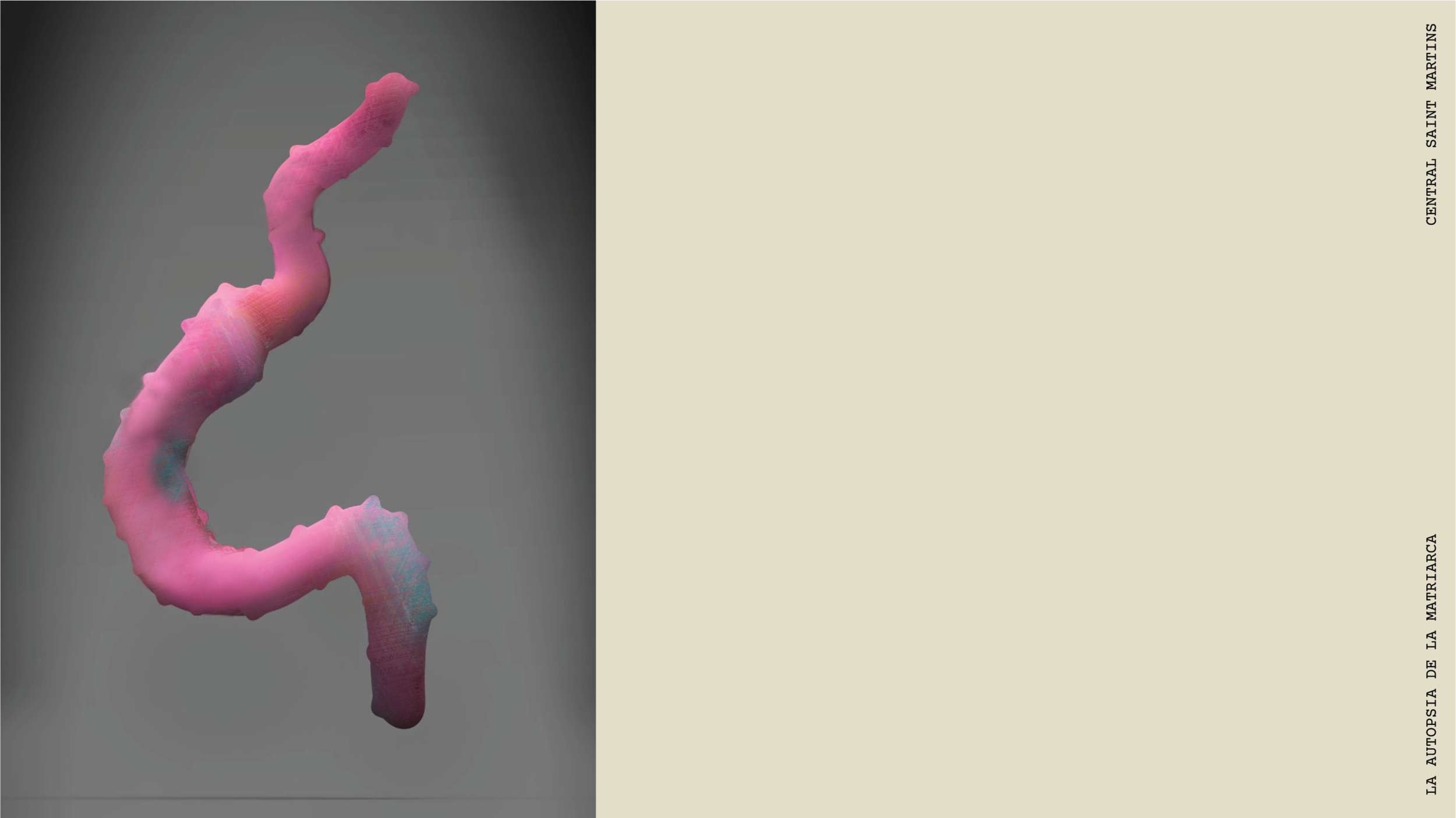 A sculpture of an intestine, made from multicolored pastel dyed fabric