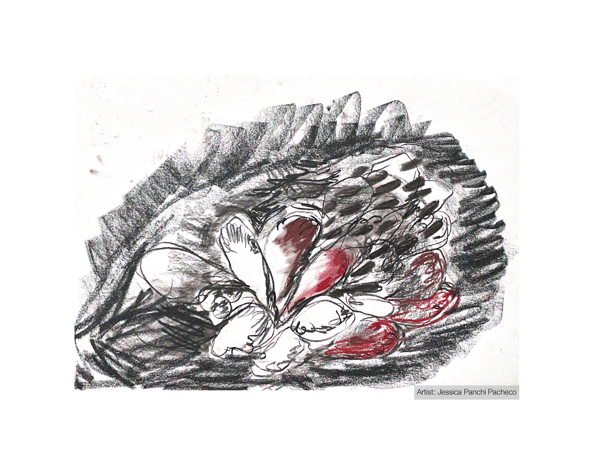 Sketch of Mammary Glands