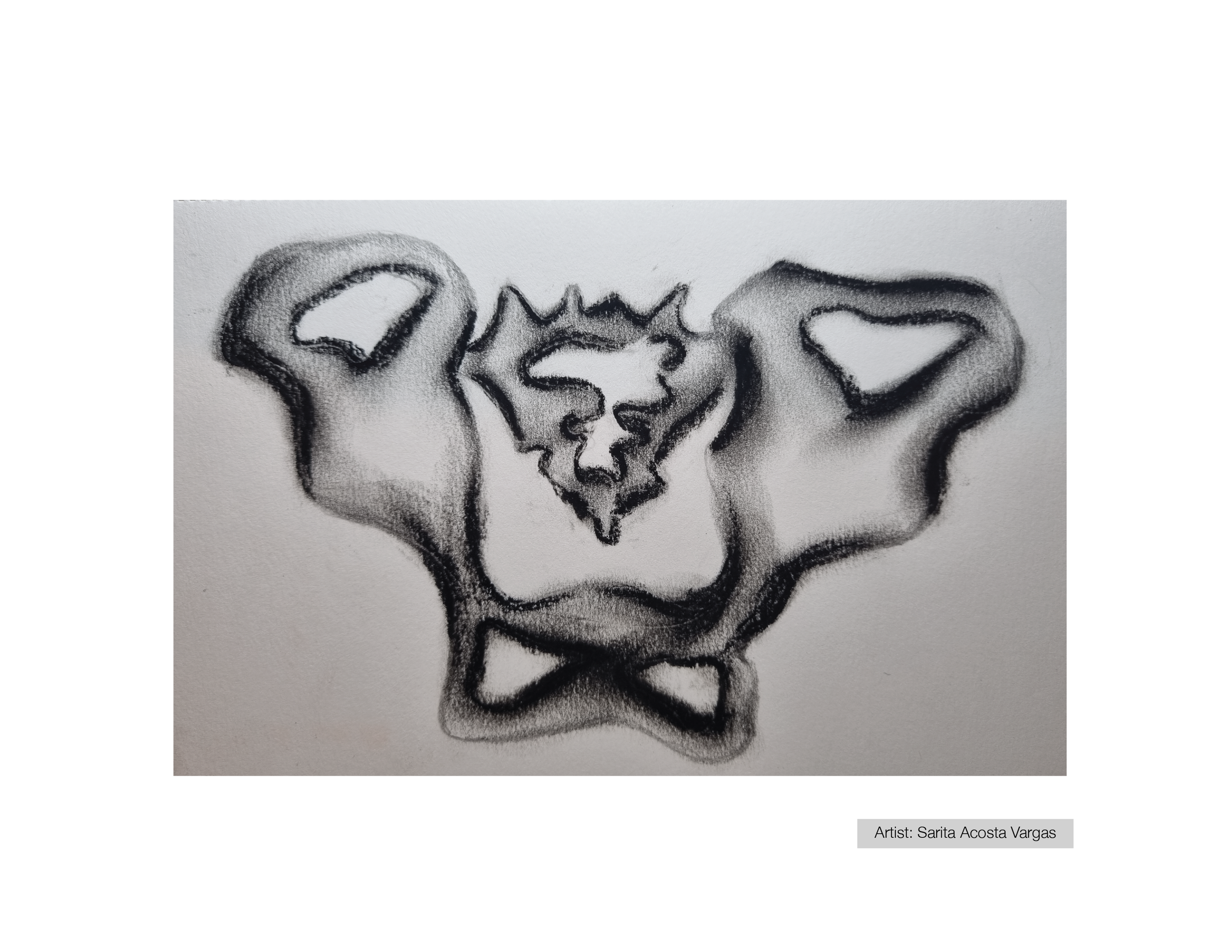 Pelvis Bone Artistic Ideation