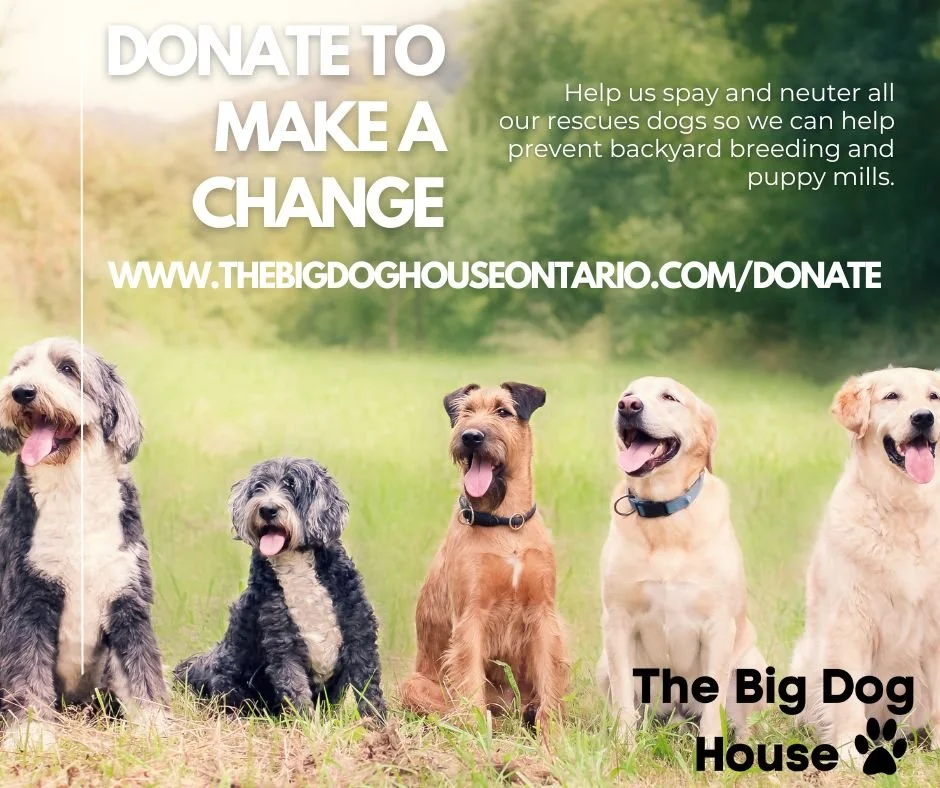 The Big Dog House Ontario Rescue