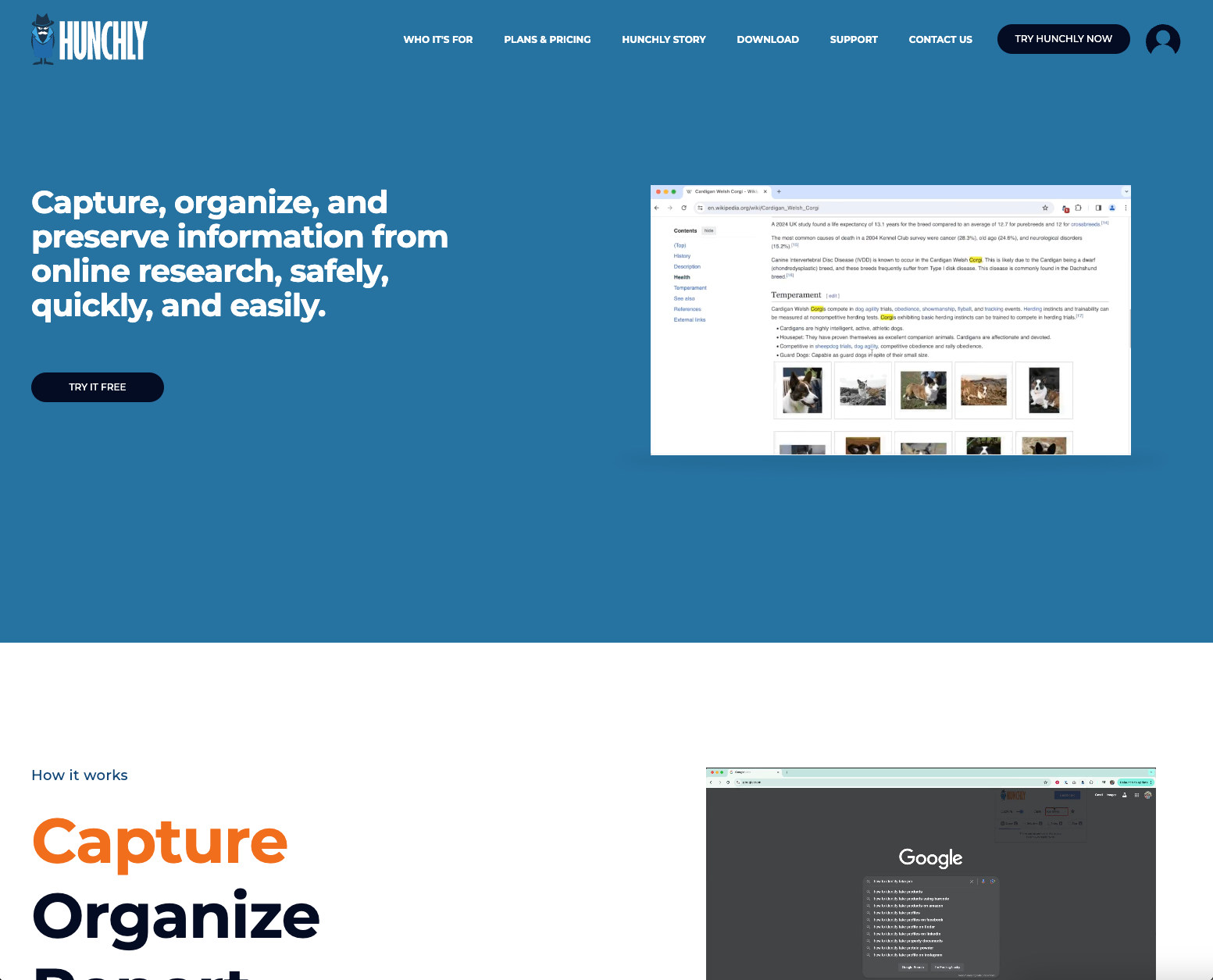 Hunchly - case study Motevo Co