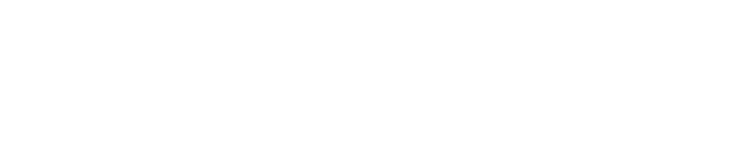 DAVID SMITH MINISTRY