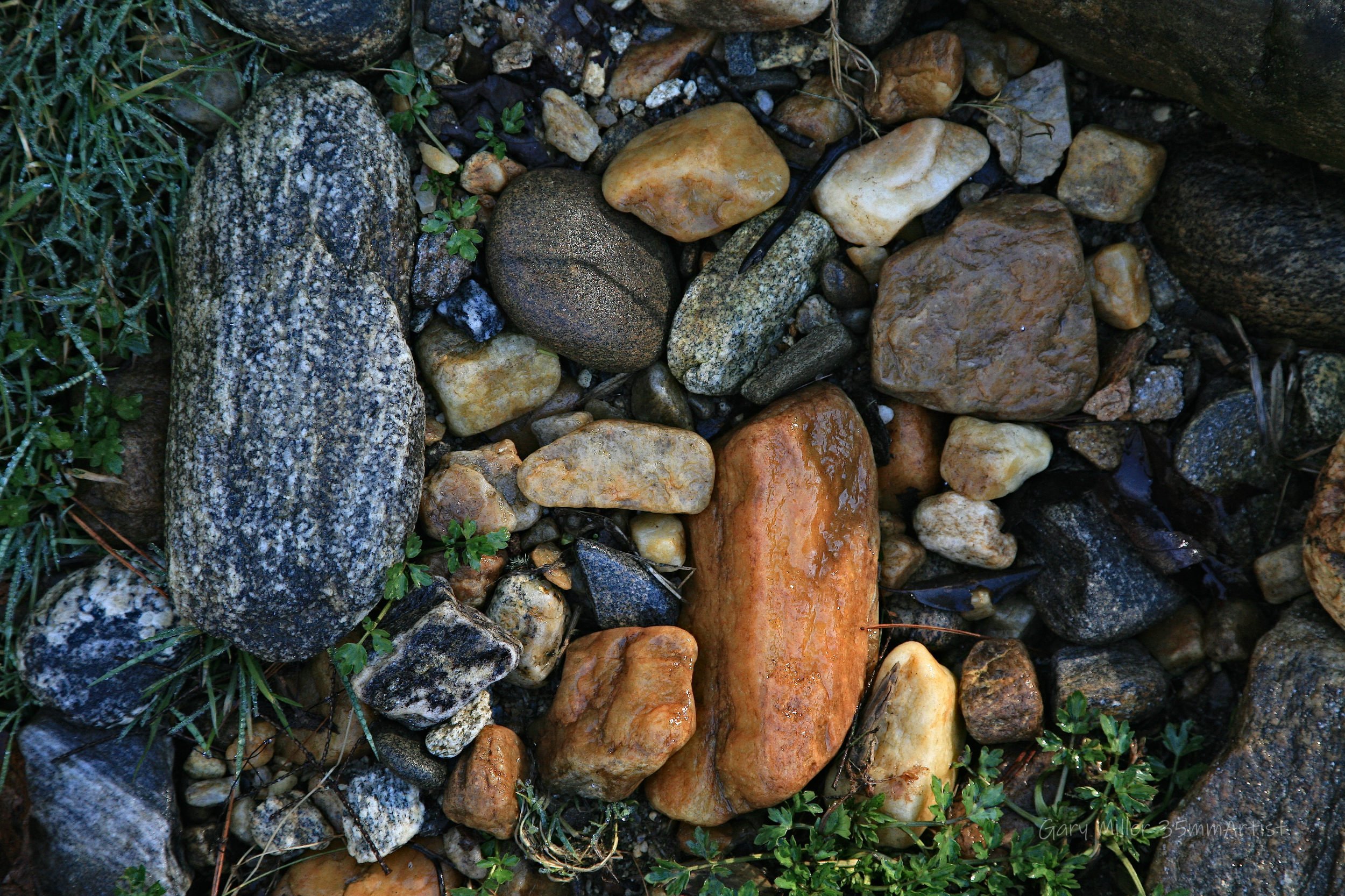 IMG_1151_lzn still life rocks 1 resized for squarespace.jpg