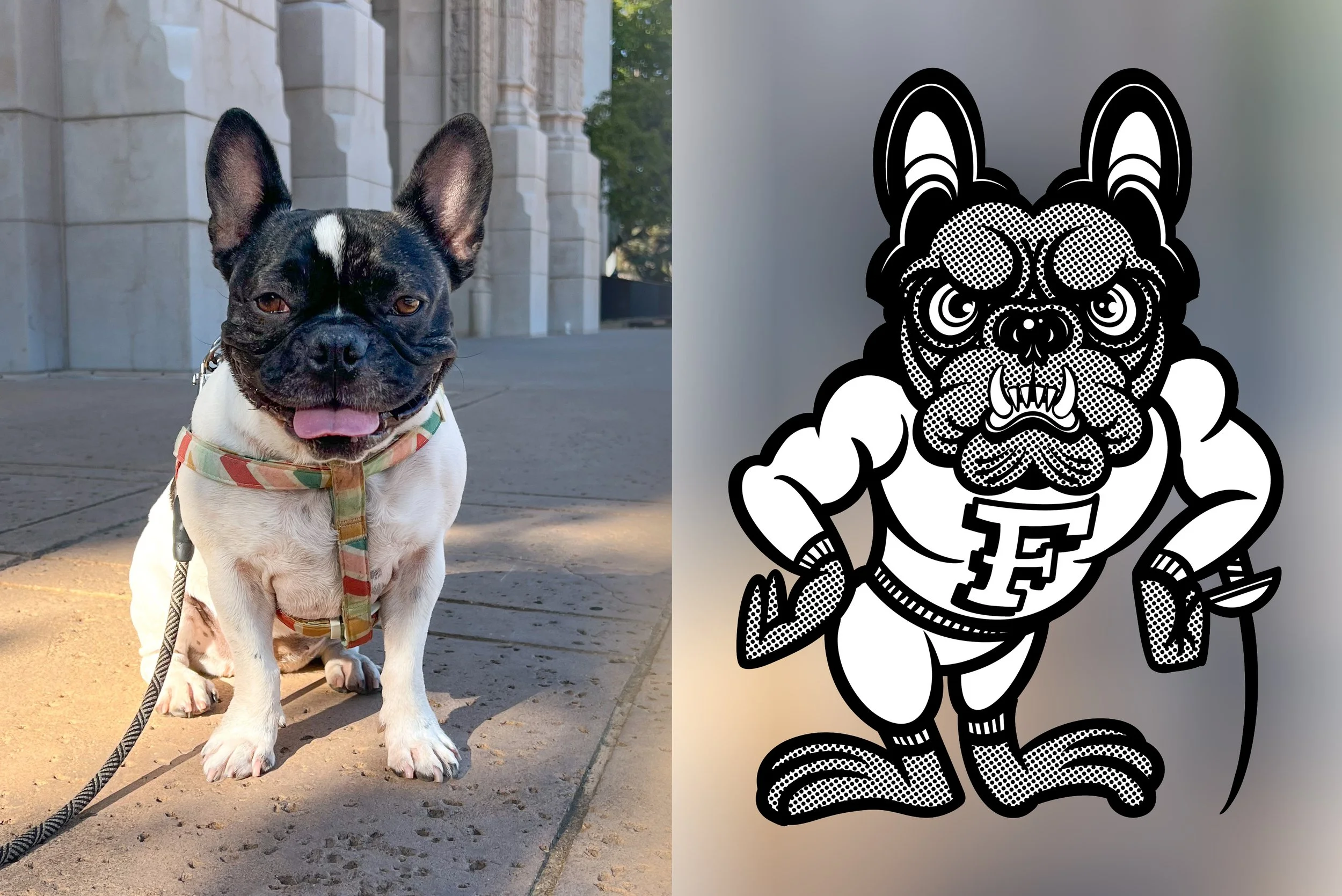 A French Bulldog with a black and white coat and a colorful leash sitting outside on a sidewalk, with a digitally illustrated, muscular cartoon dog with a fierce expression on the right side. The cartoon dog has a muscular build, wearing a letter 'F' on its chest, and has a hyena or bulldog face with pointy ears.