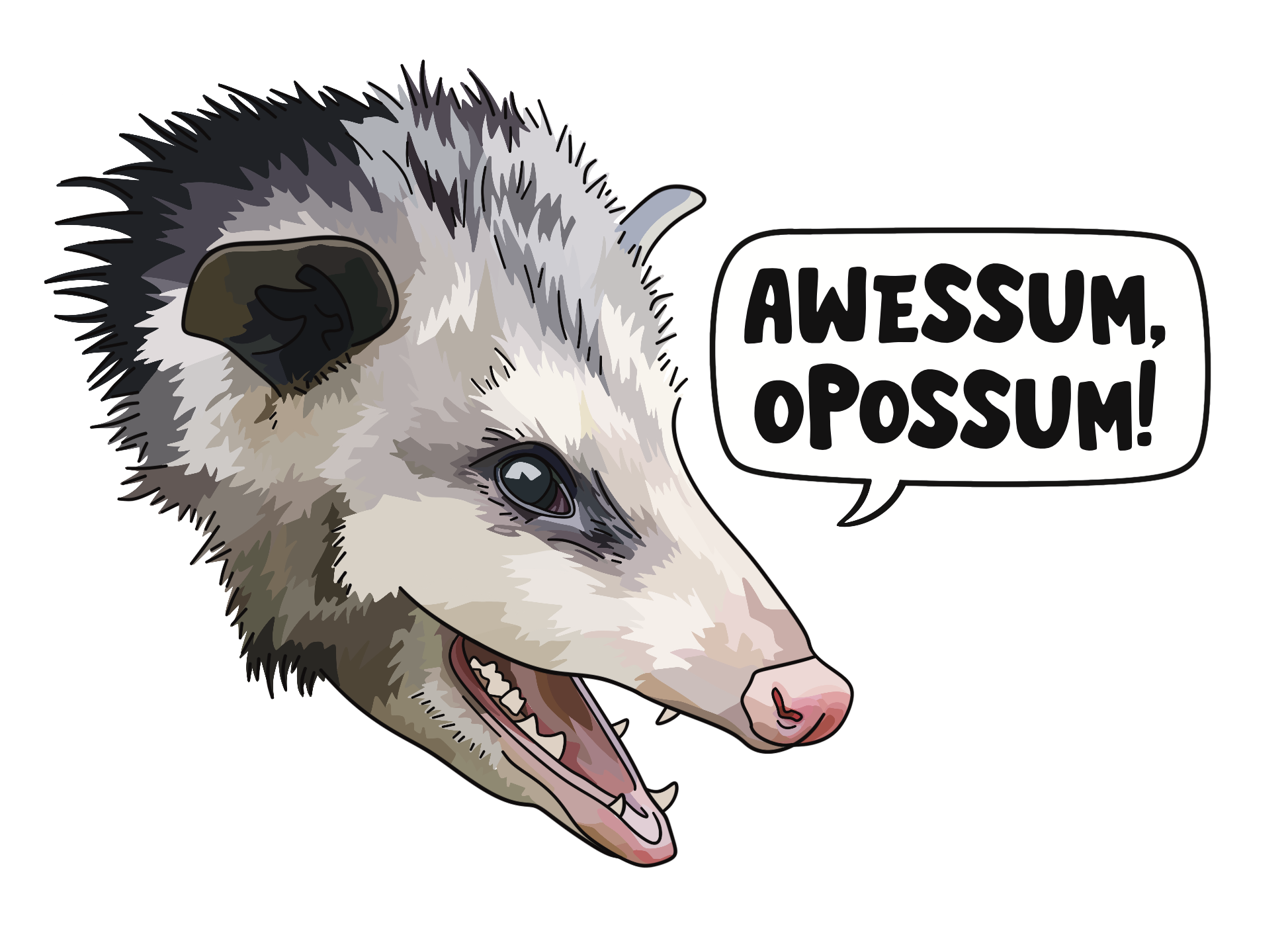 Possum.png
