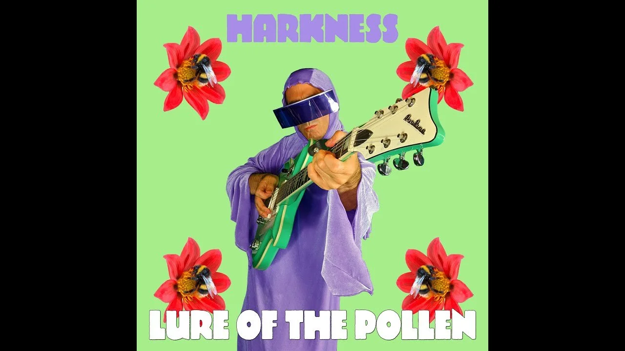Lure of the pollen.jpg
