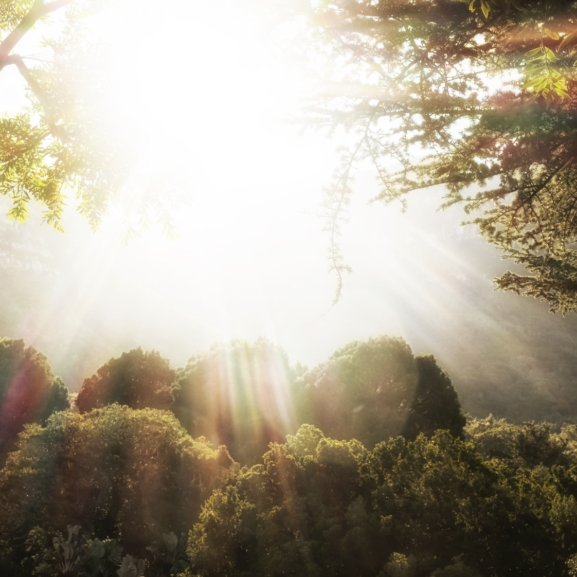 Living Water and God's Garden