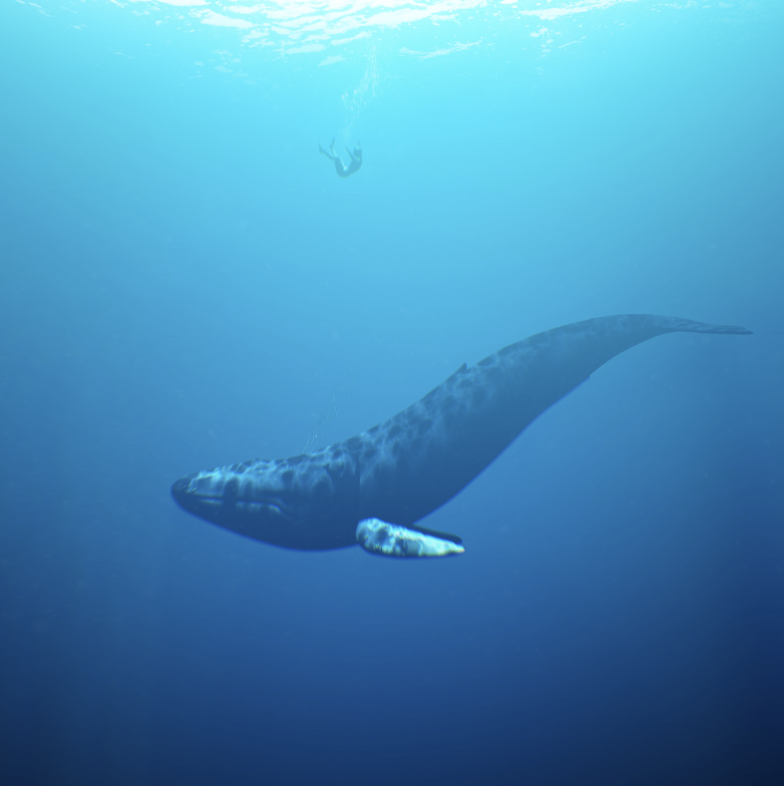 What Day did Jonah...