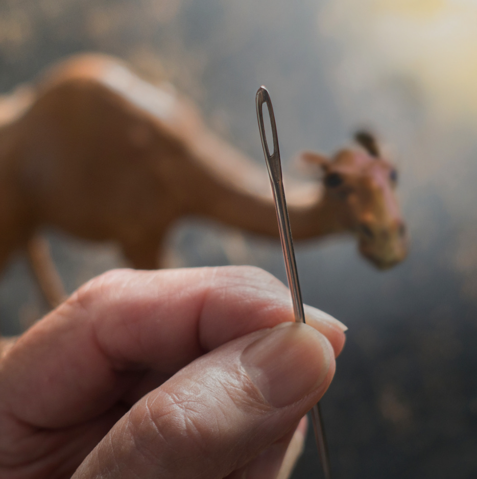 Camels and Early Inheritances