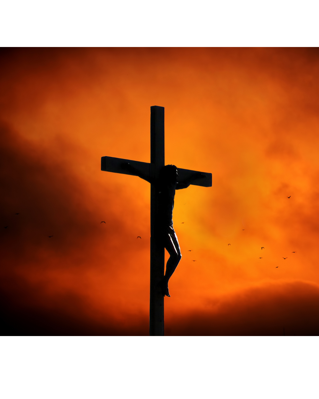 Jesus the Passover Lamb Hung on a Cross