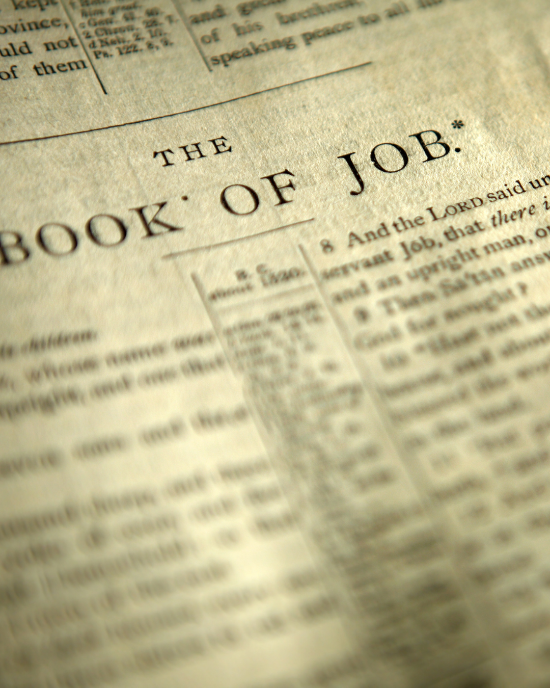 Concerns with the Book of Job