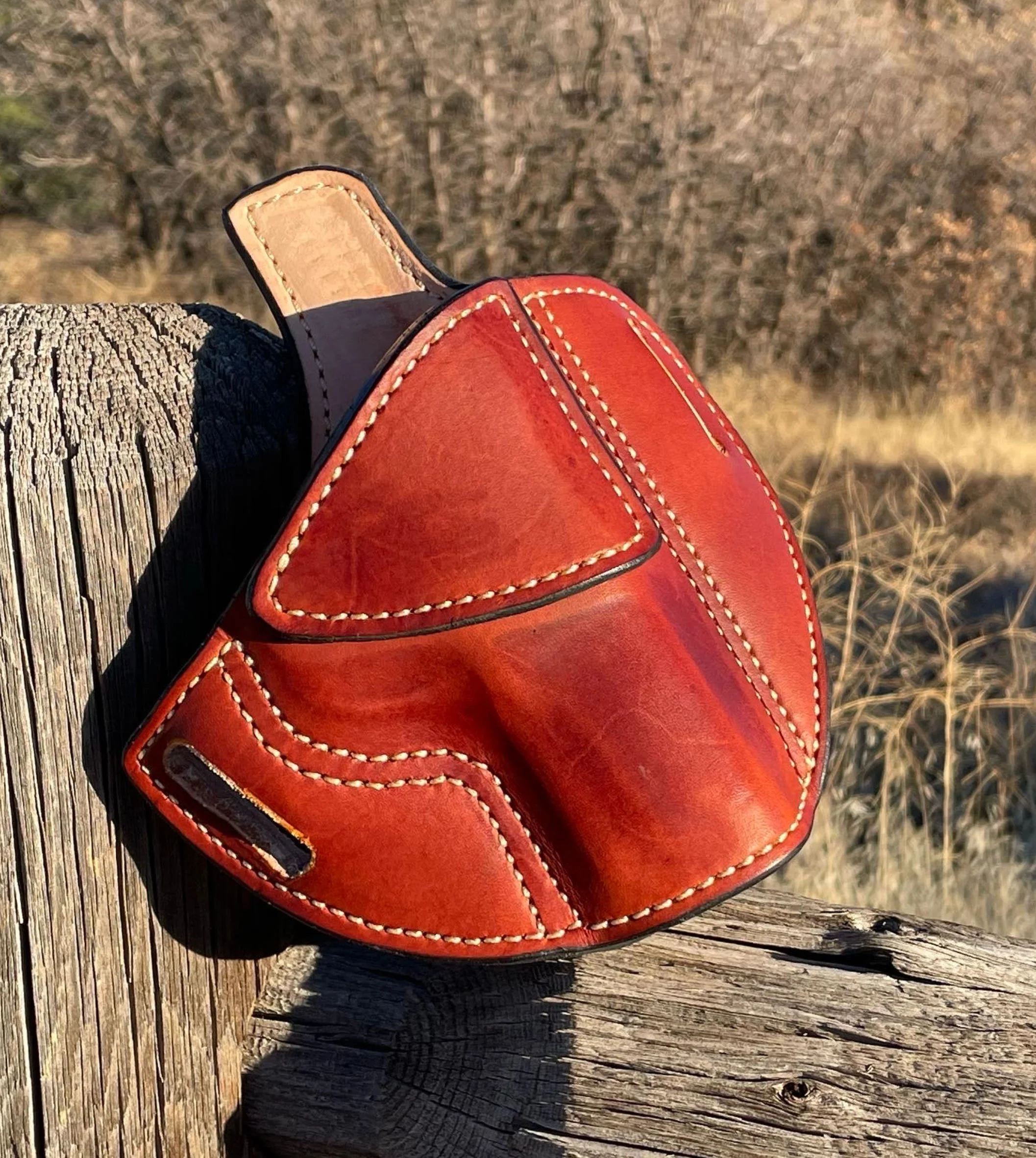 Holster_2.jpg
