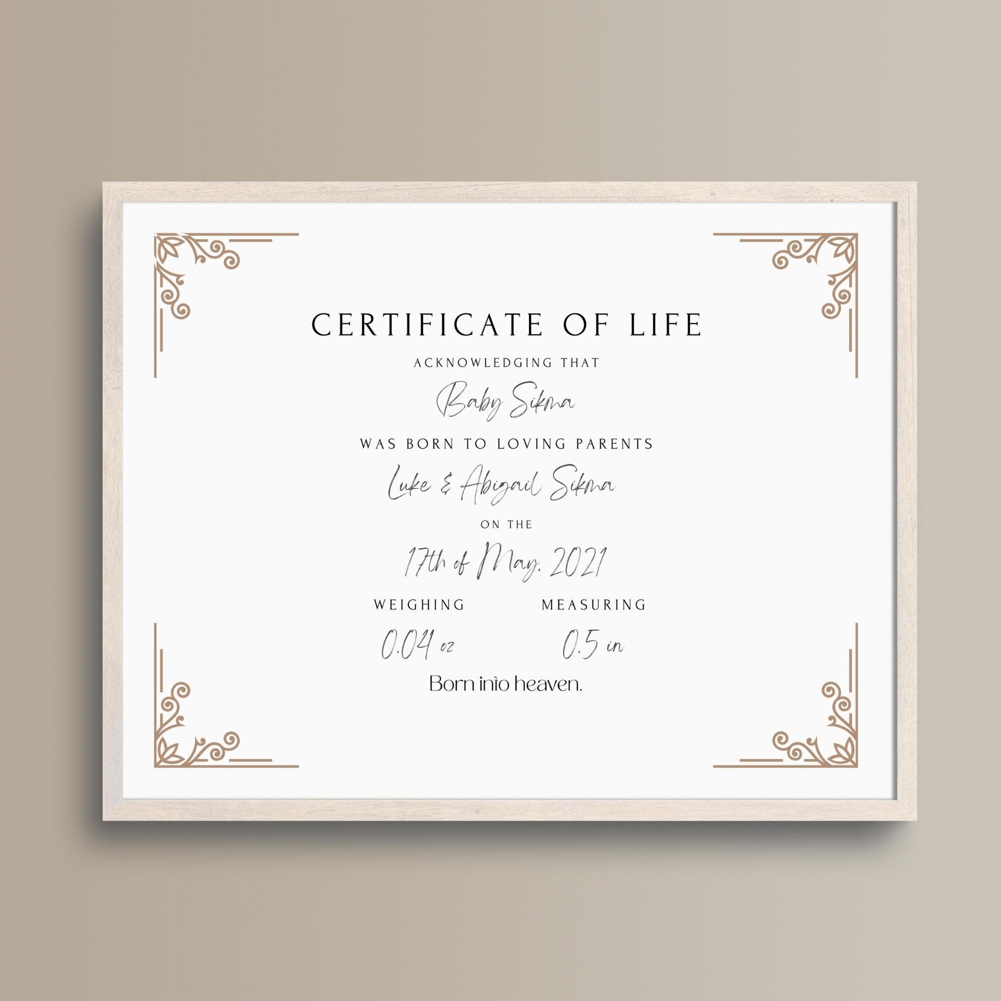 Etsy Listings  Certificates of Life.jpg