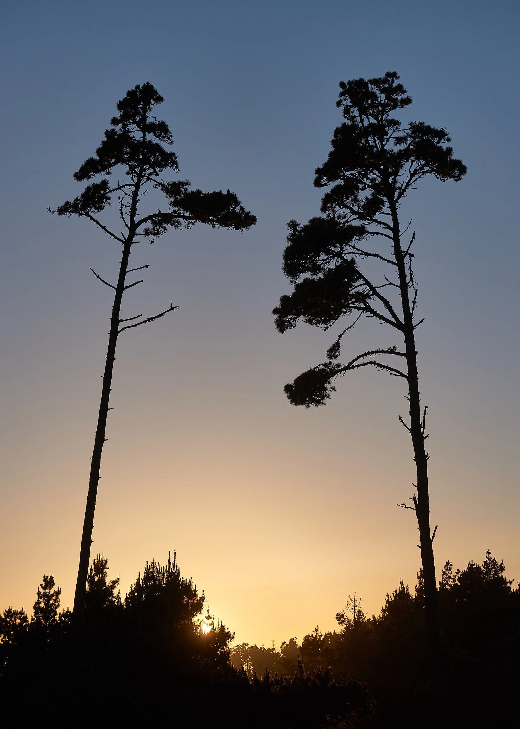 Campsite sundowner.jpg