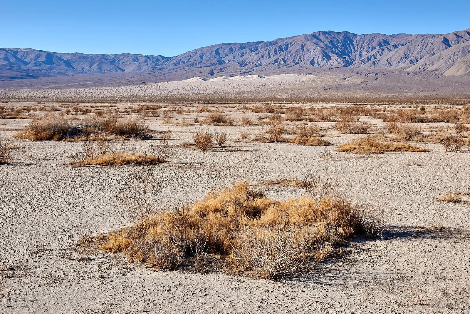 panamint dune2.jpg