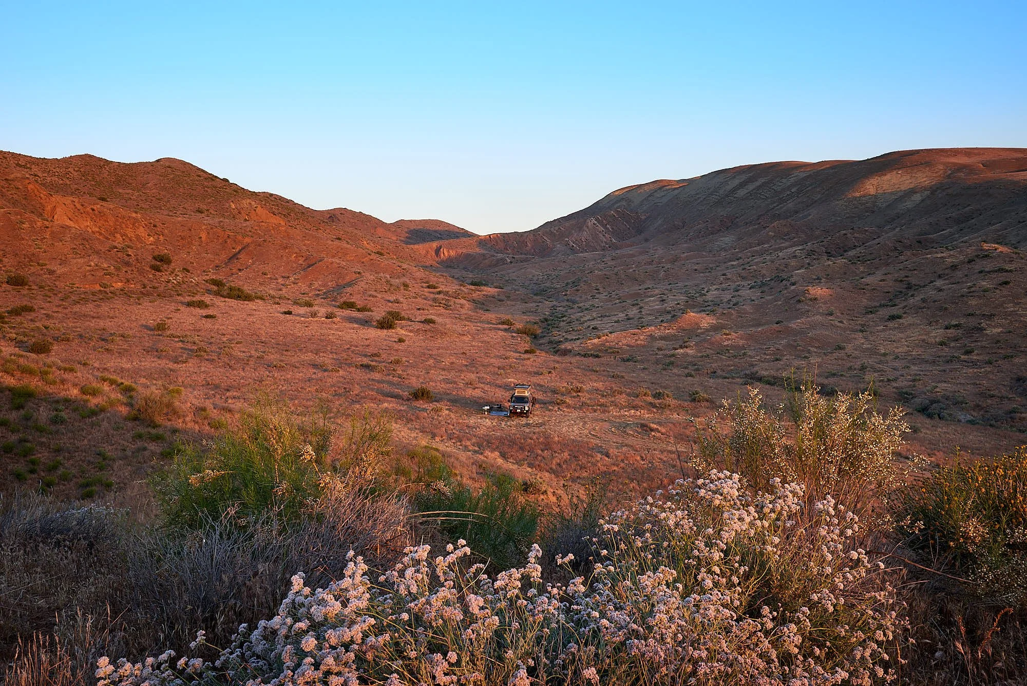 Padrones camp 3.jpg