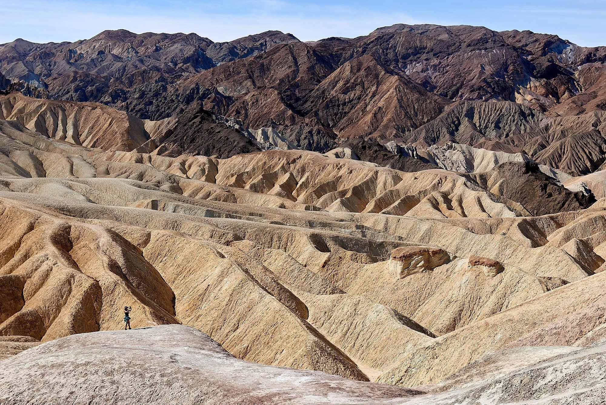 zabriski1.jpg