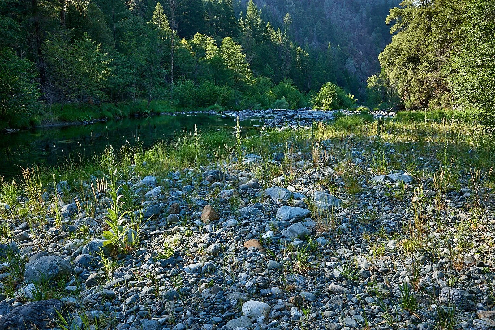 River 6.jpg