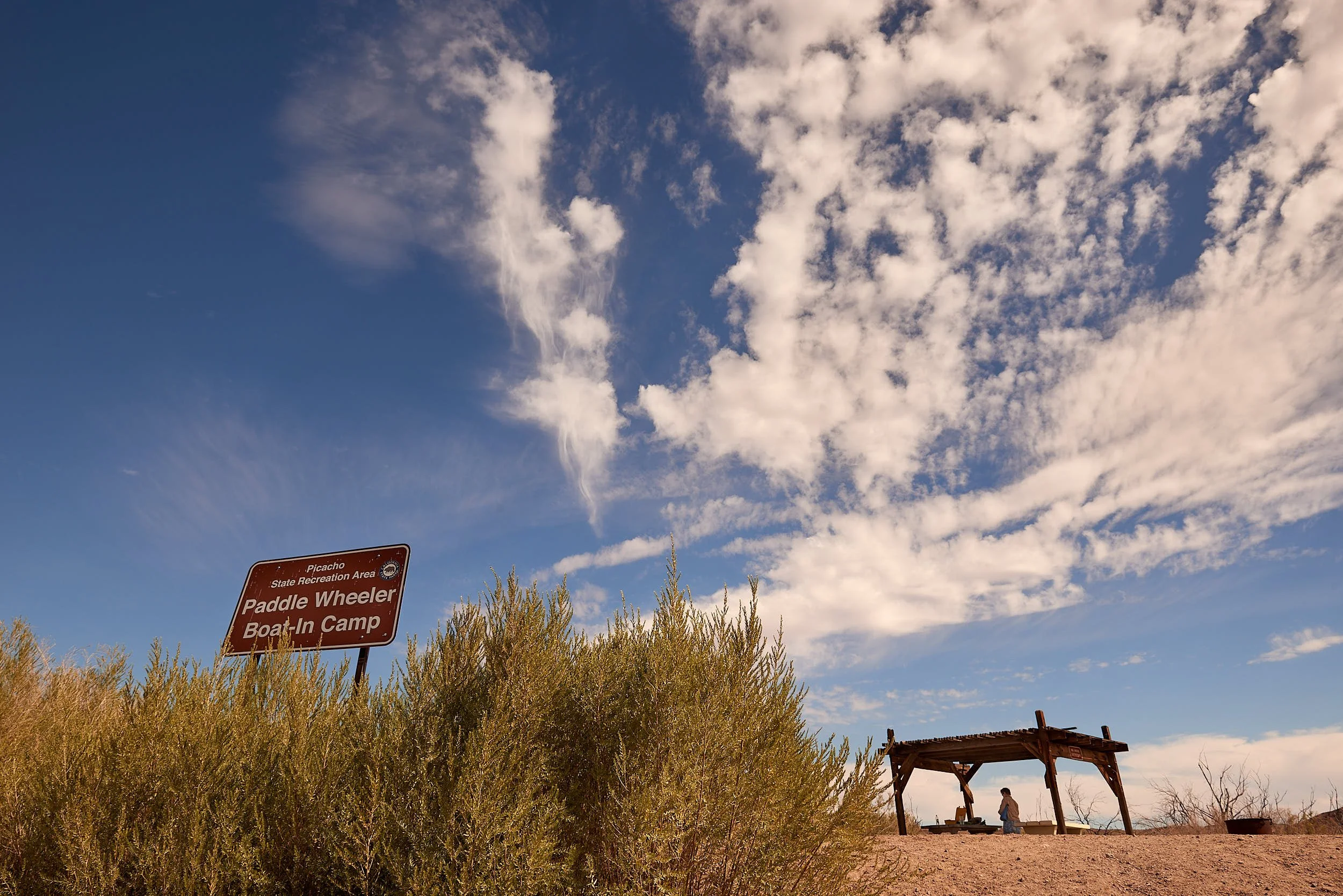 paddle wheeler 1.jpg