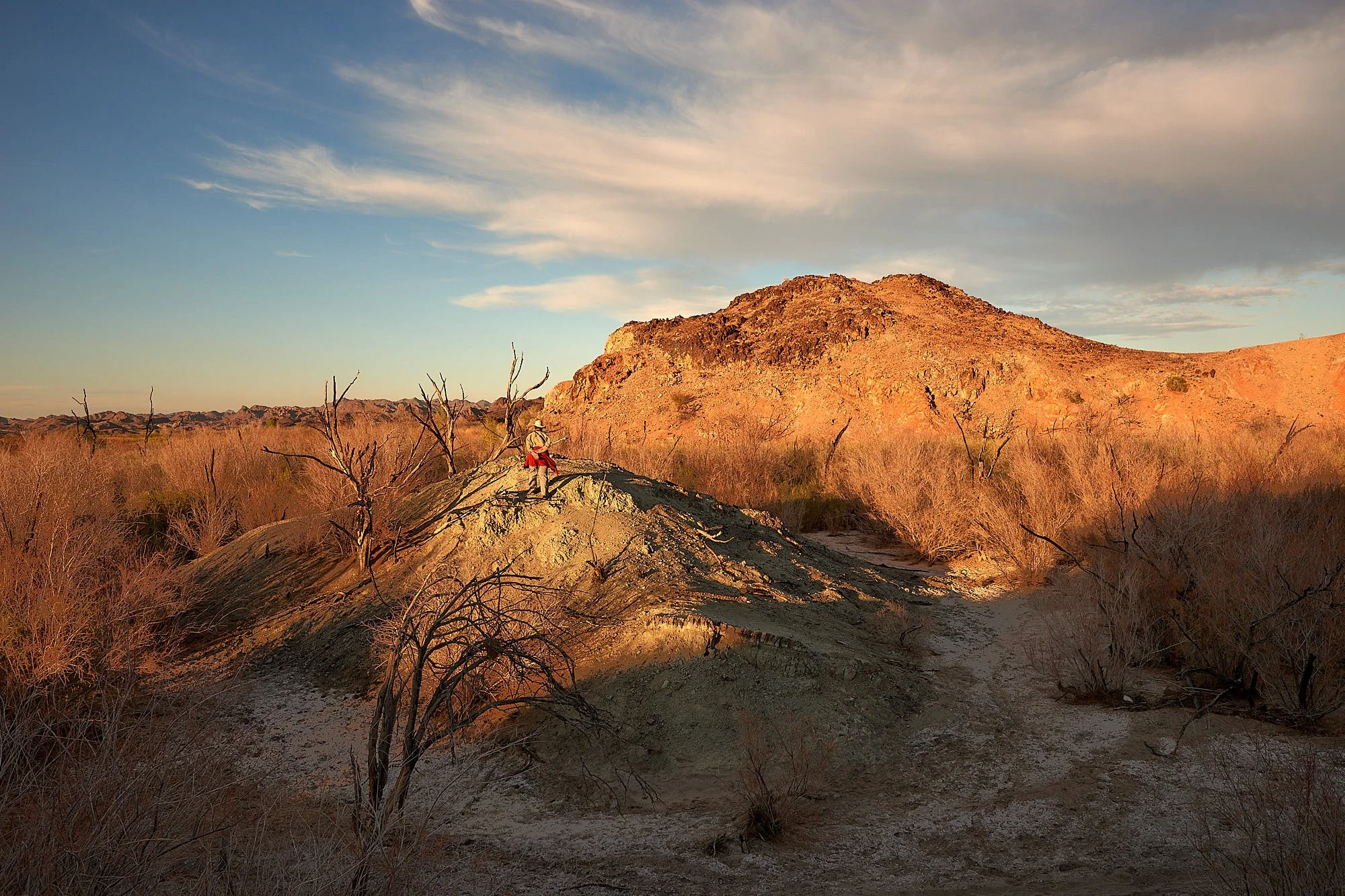 landscape1.jpg