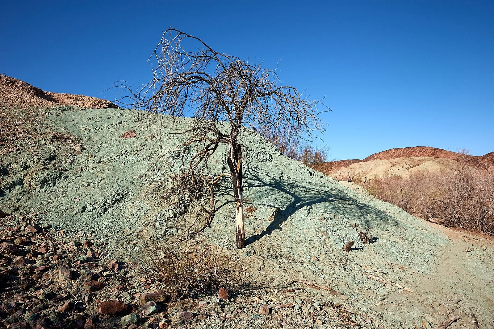 landscape5.jpg