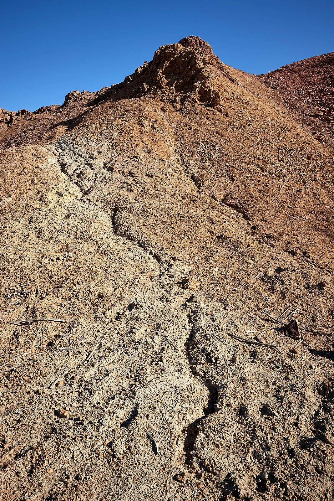 landscape6.jpg