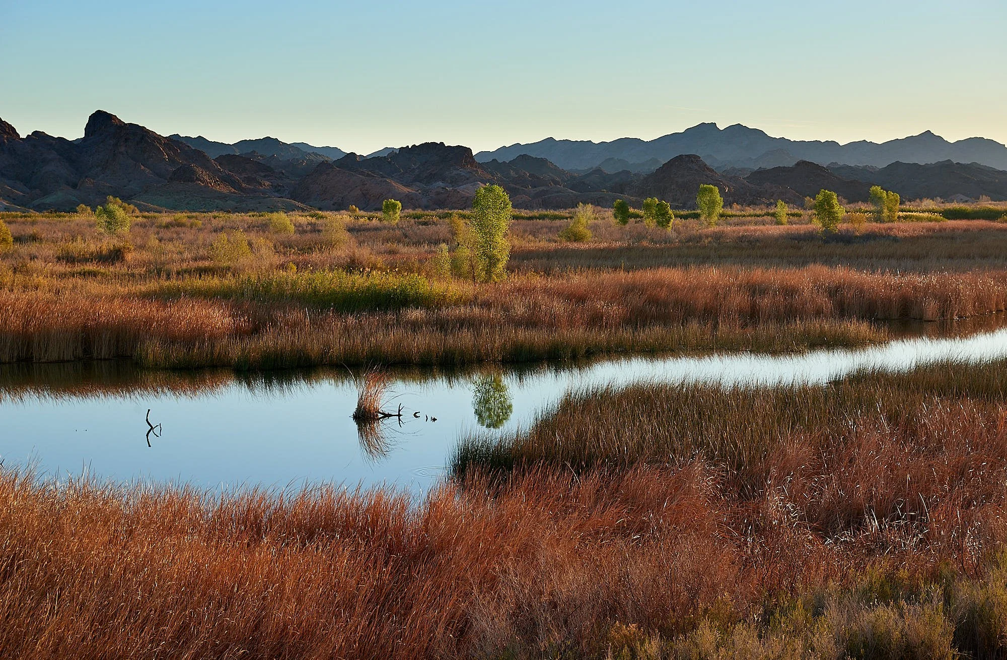 taylor lake1.jpg