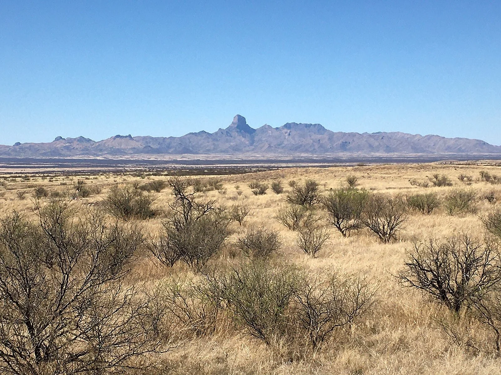 T Buenos Aires redone.jpg