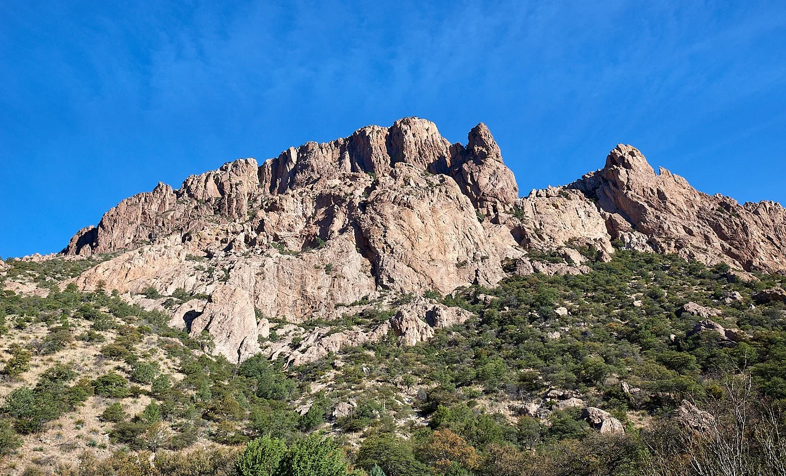 DSC3440.jpg