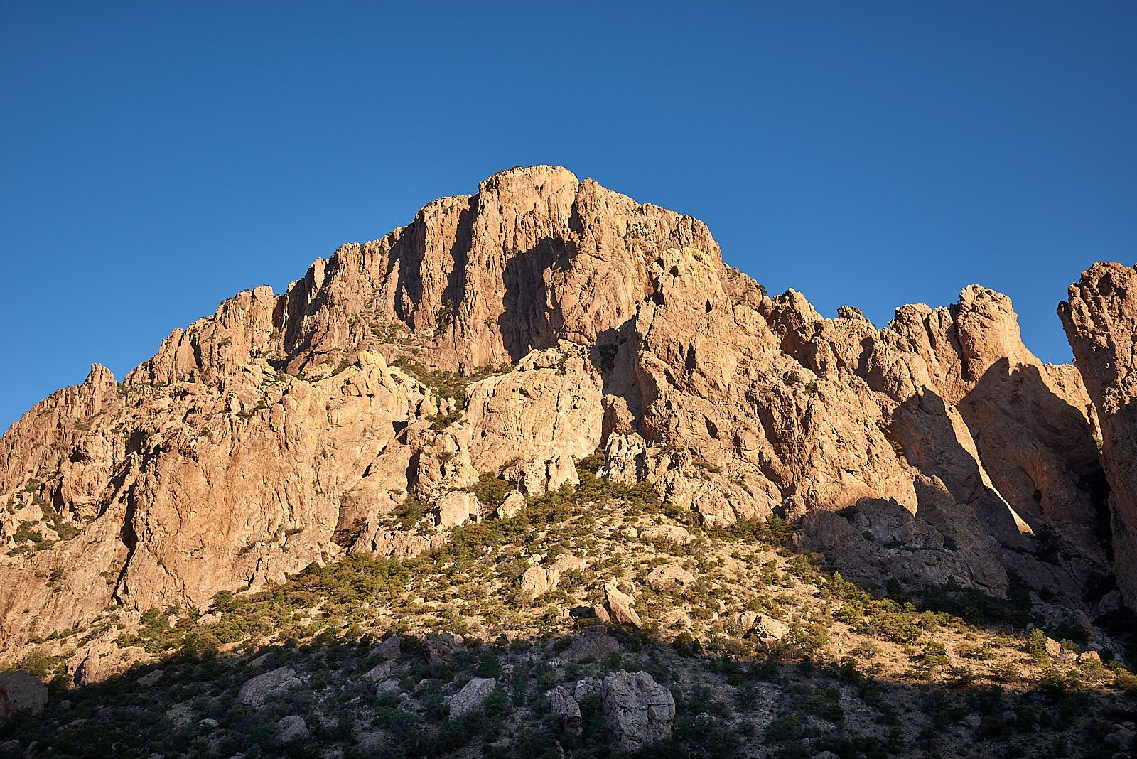 DSC3552.jpg