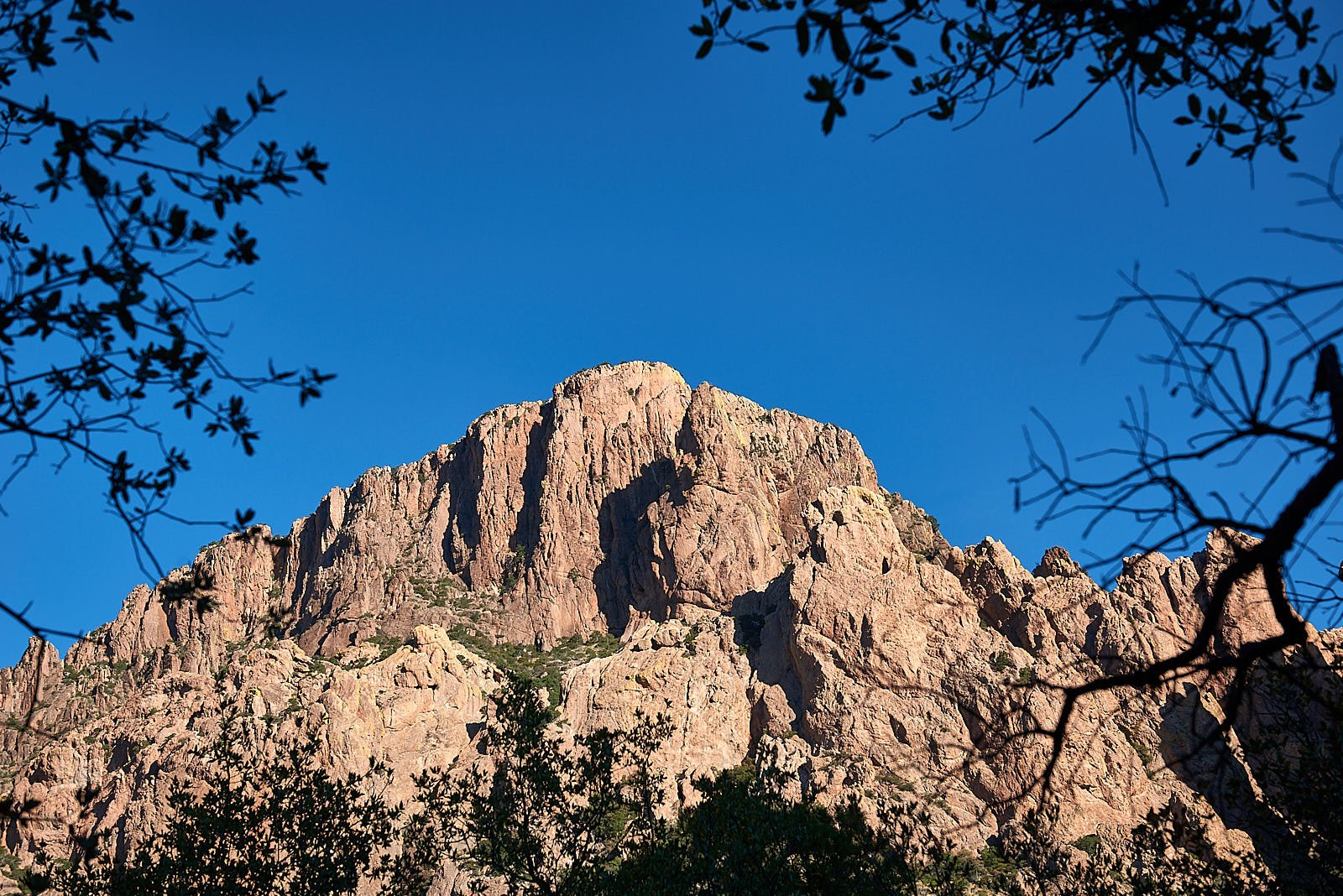 DSC3575.jpg