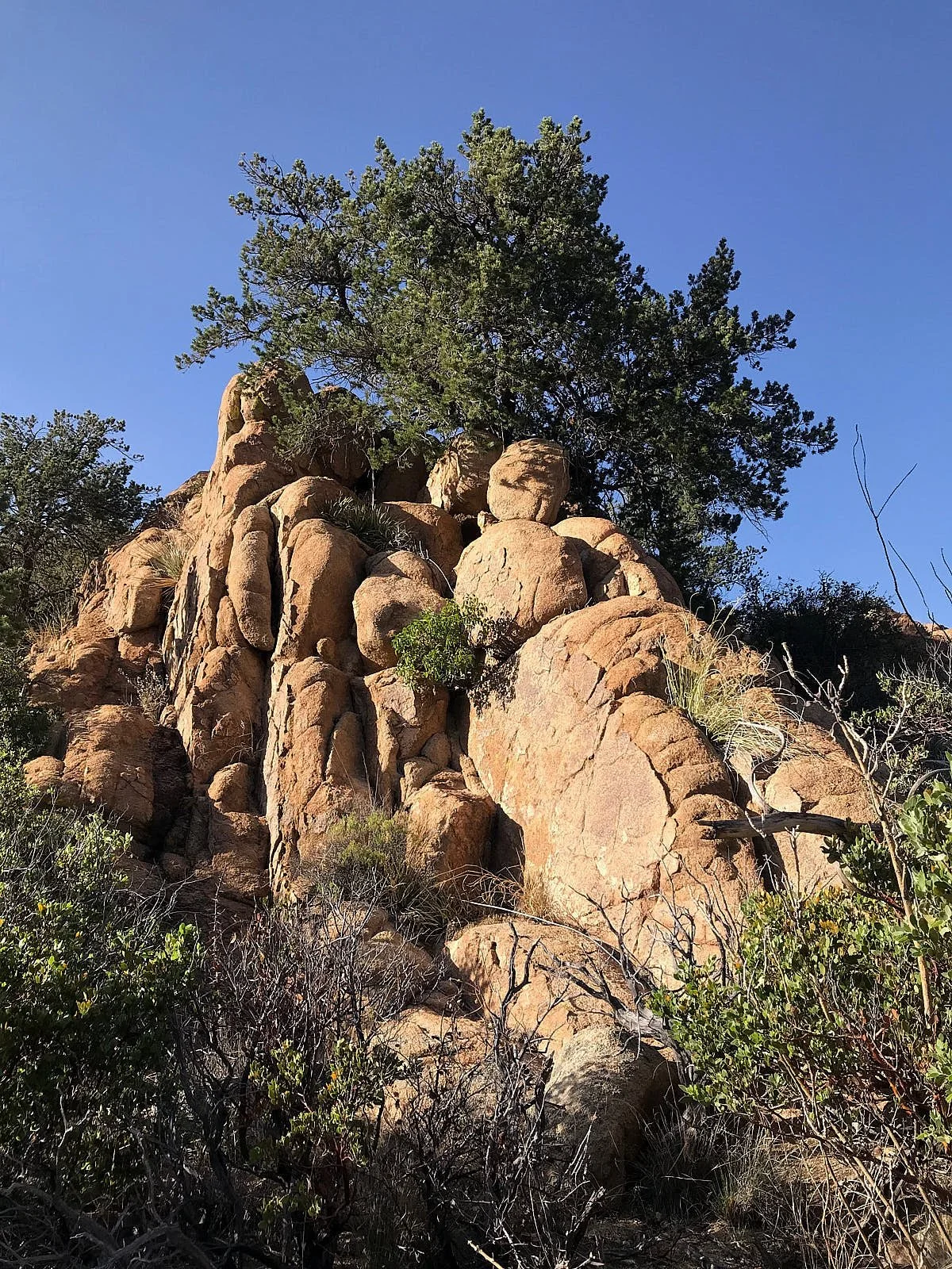 dragoon scenic5 edited.jpg