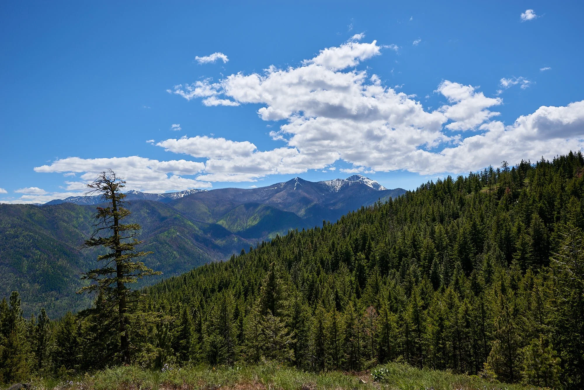 Twisp landscape H.jpg